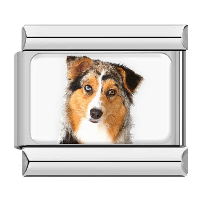 Charms Cachorros de Raça Prata