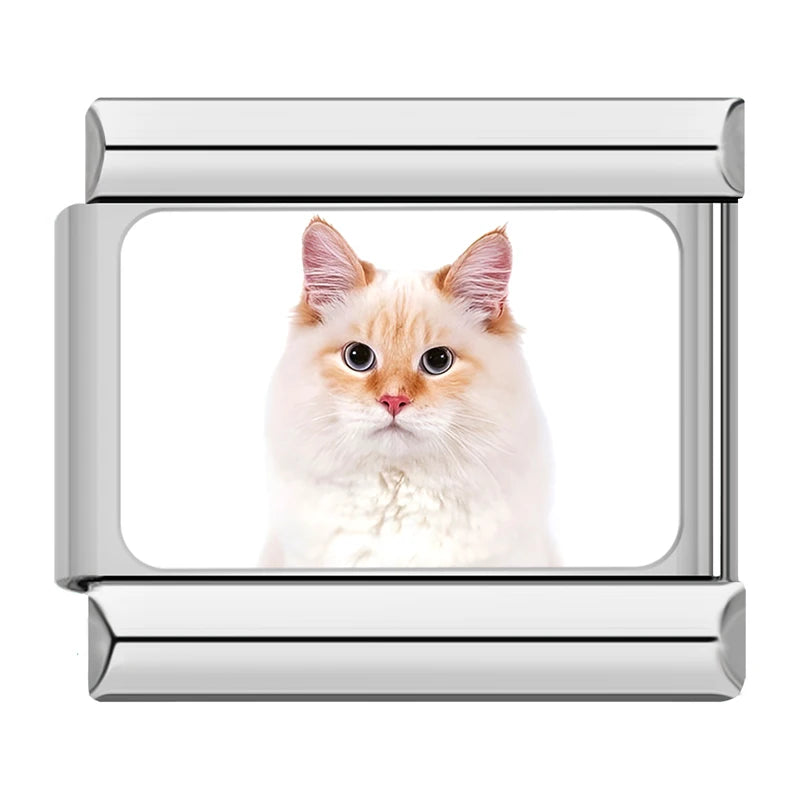 Charms Gatinhos Raças Prata
