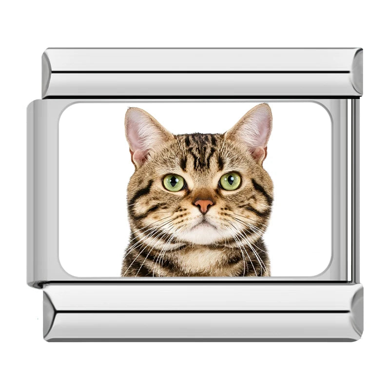Charms Gatinhos Raças Prata