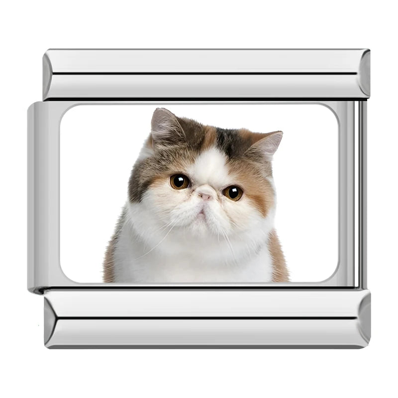 Charms Gatinhos Raças Prata