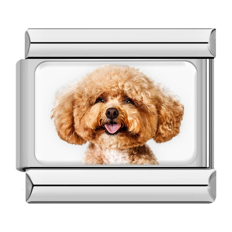Charms Cachorros de Raça Prata
