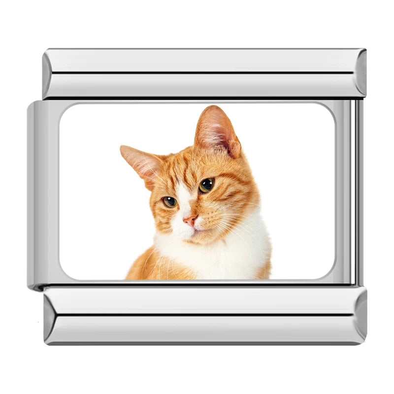 Charms Gatinhos Raças Prata