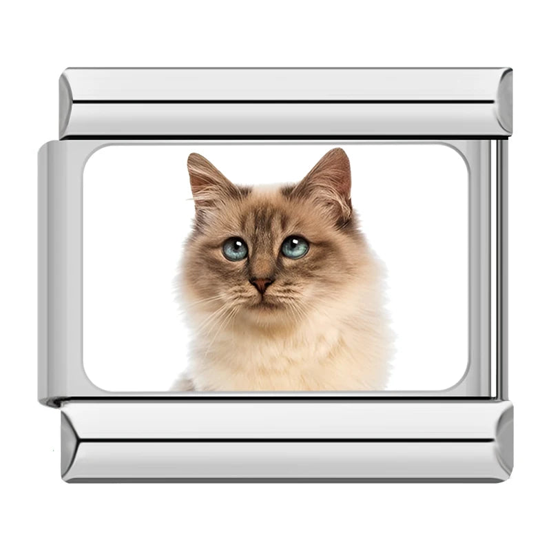 Charms Gatinhos Raças Prata