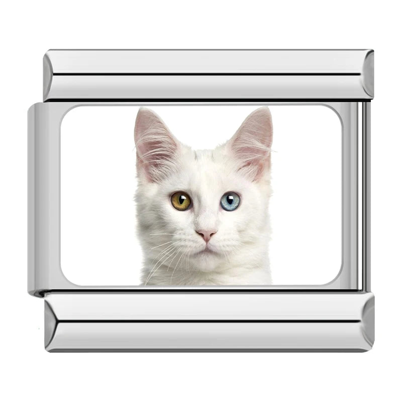 Charms Gatinhos Raças Prata