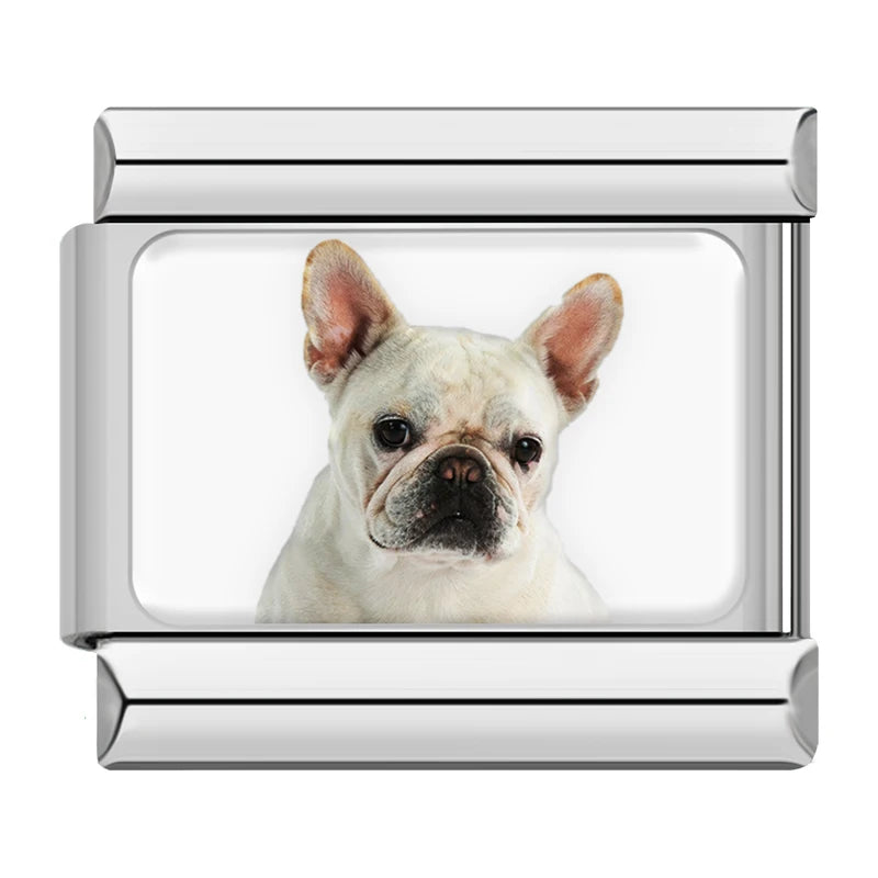Charms Cachorros de Raça Prata
