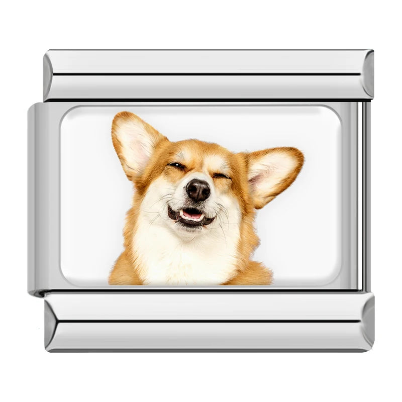 Charms Cachorros de Raça Prata