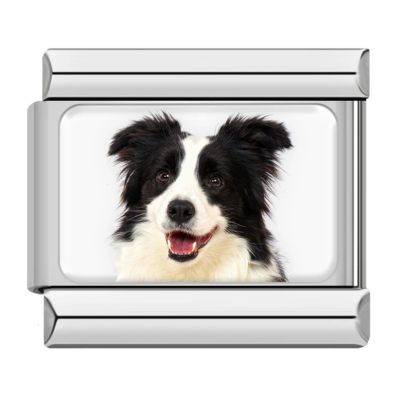 Charms Cachorros de Raça Prata