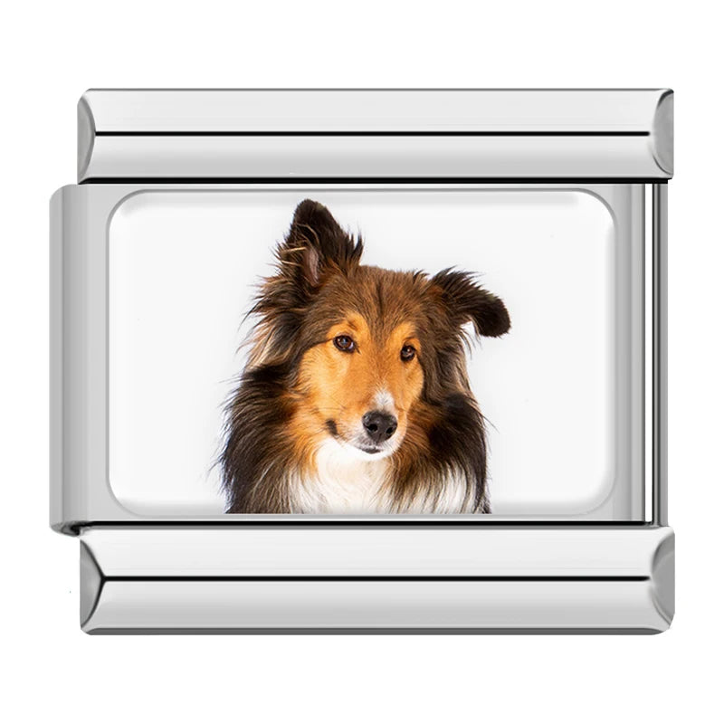 Charms Cachorros de Raça Prata