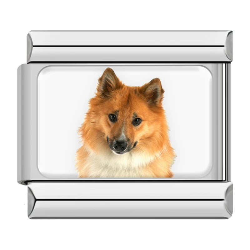 Charms Cachorros de Raça Prata