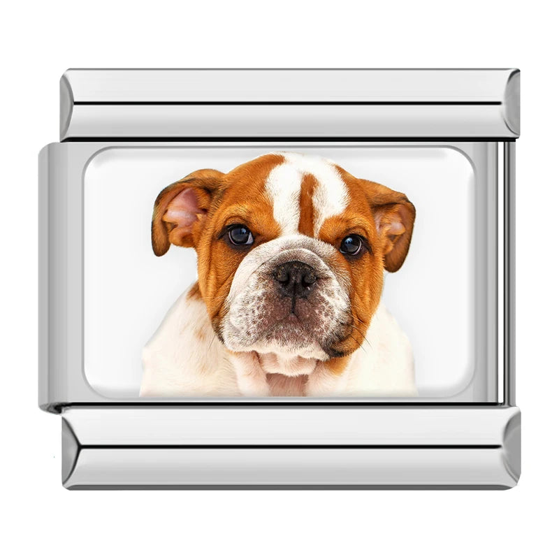 Charms Cachorros de Raça Prata