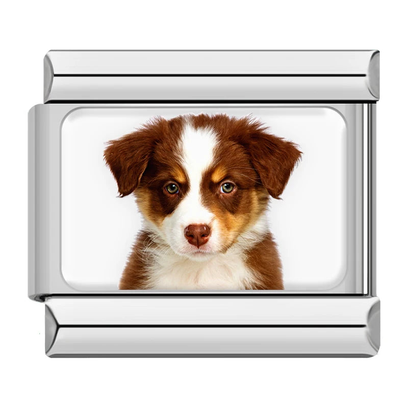 Charms Cachorros de Raça Prata