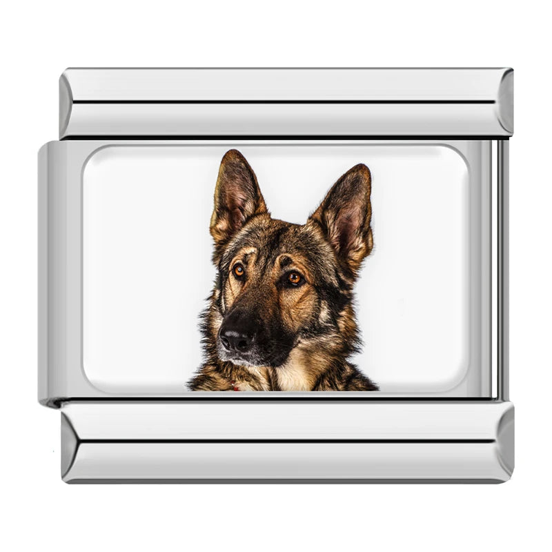 Charms Cachorros de Raça Prata