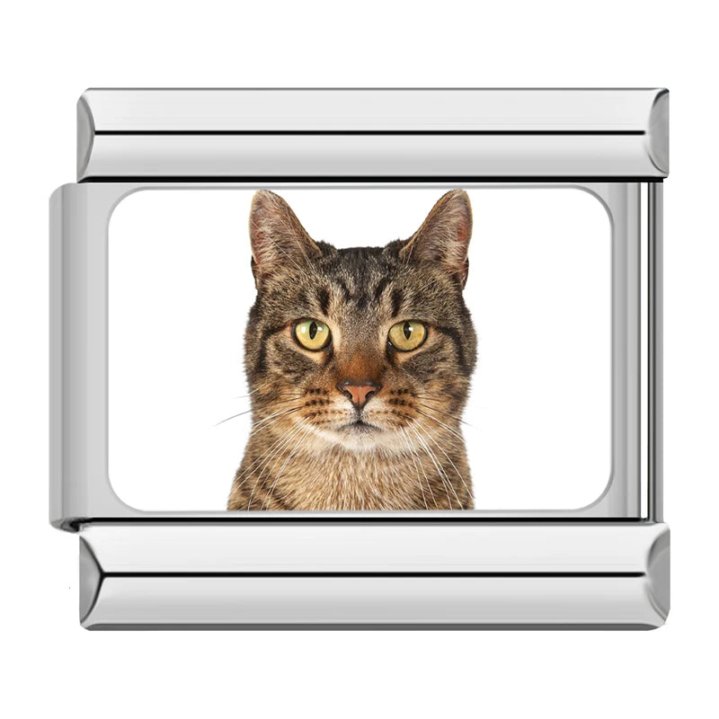 Charms Gatinhos Raças Prata