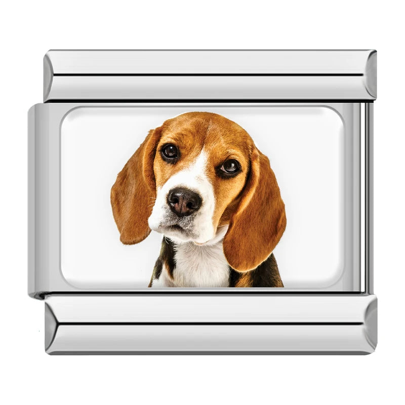 Charms Cachorros de Raça Prata