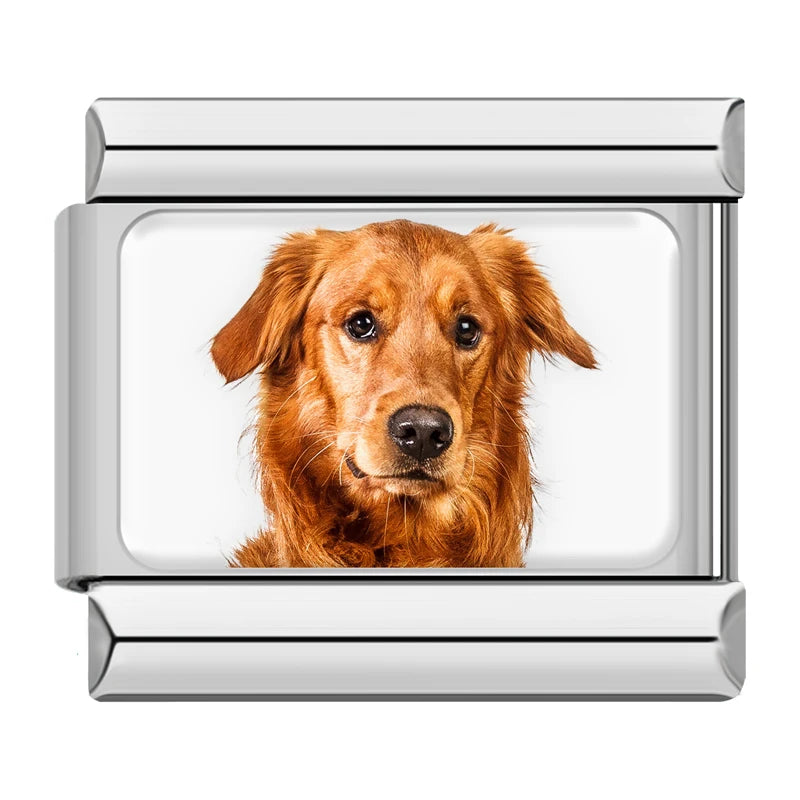 Charms Cachorros de Raça Prata