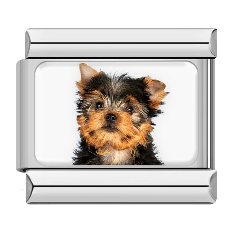 Charms Cachorros de Raça Prata