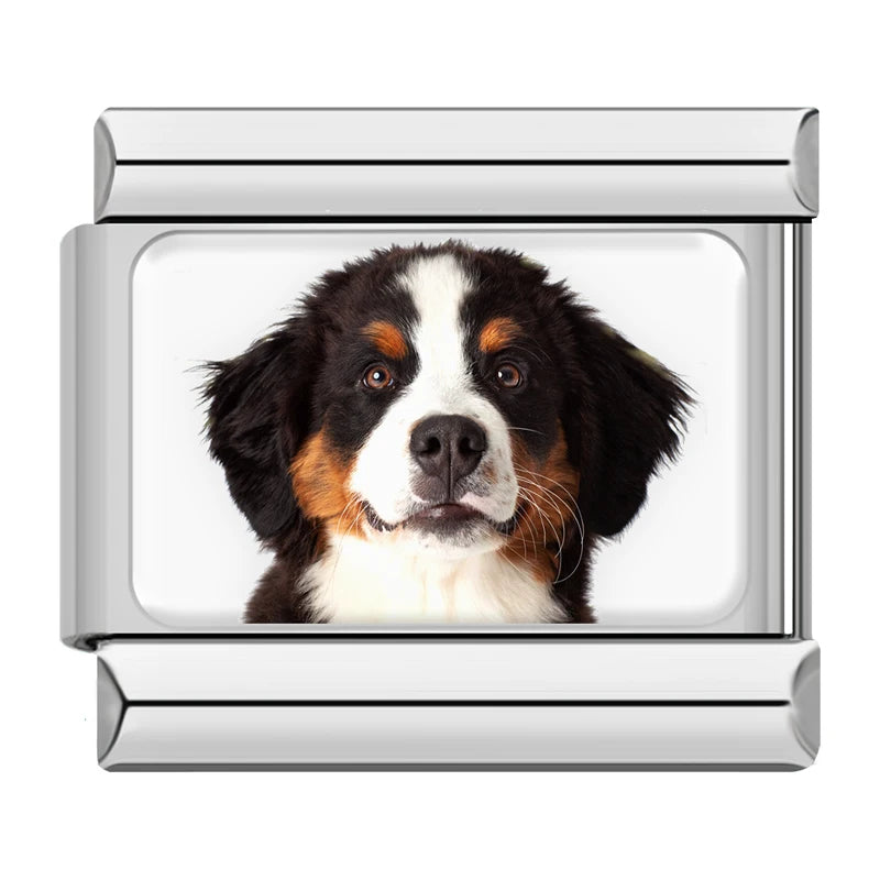 Charms Cachorros de Raça Prata