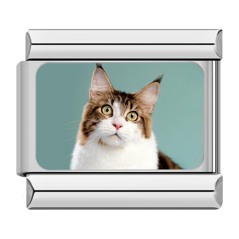 Charms Gatinhos Raças Prata
