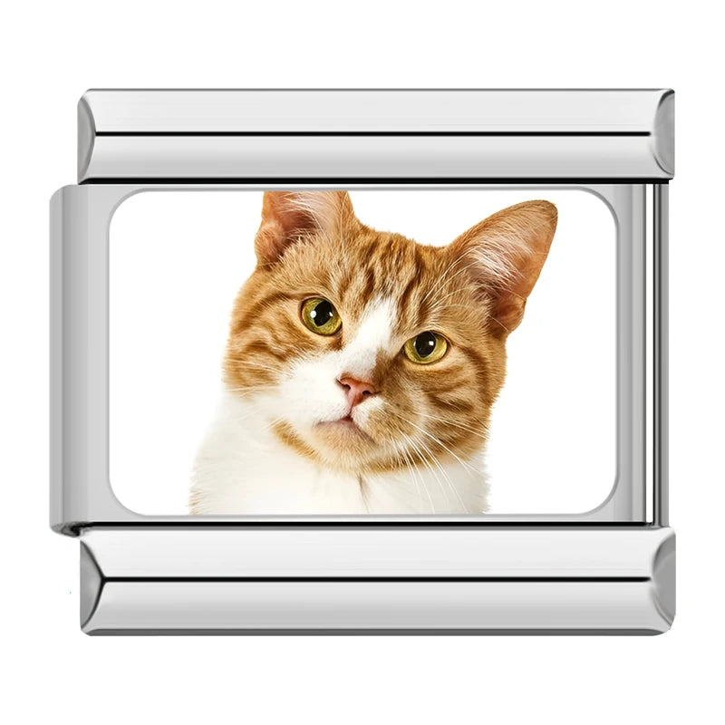 Charms Gatinhos Raças Prata