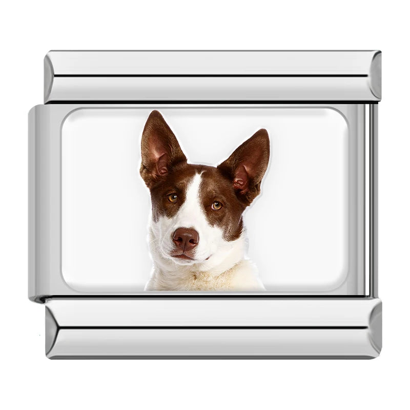 Charms Cachorros de Raça Prata