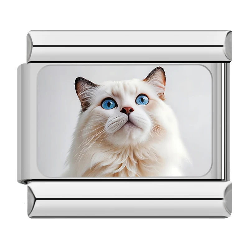 Charms Gatinhos Raças Prata