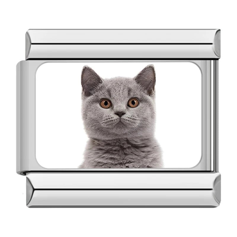 Charms Gatinhos Raças Prata