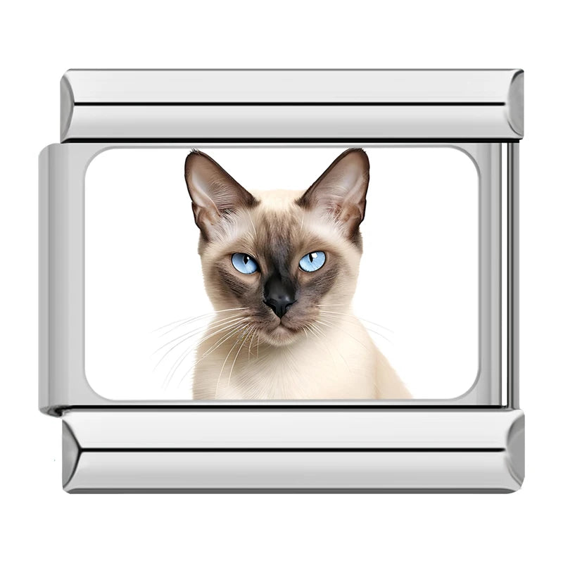 Charms Gatinhos Raças Prata